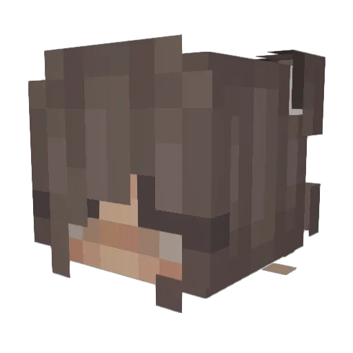 SoloSeven07 Minecraft avatar head, 3D render