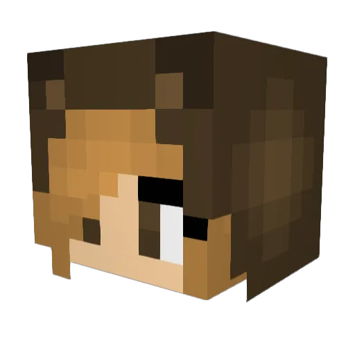 SoloShadowAE Minecraft avatar head, 3D render