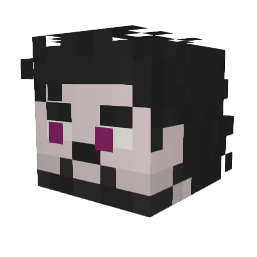 SoloSwain Minecraft avatar head, 3D render