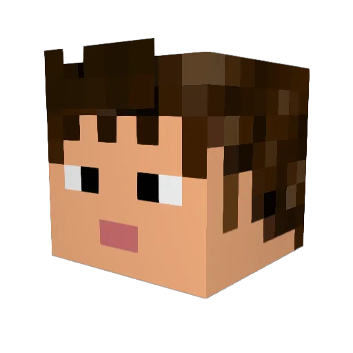 SoloWingPhoenix Minecraft avatar head, 3D render