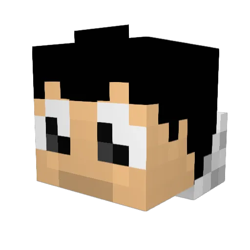 Solo_B Minecraft avatar head, 3D render