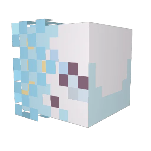 Solo_Cesspool Minecraft avatar head, 3D render