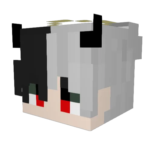 Solo_JW Minecraft avatar head, 3D render