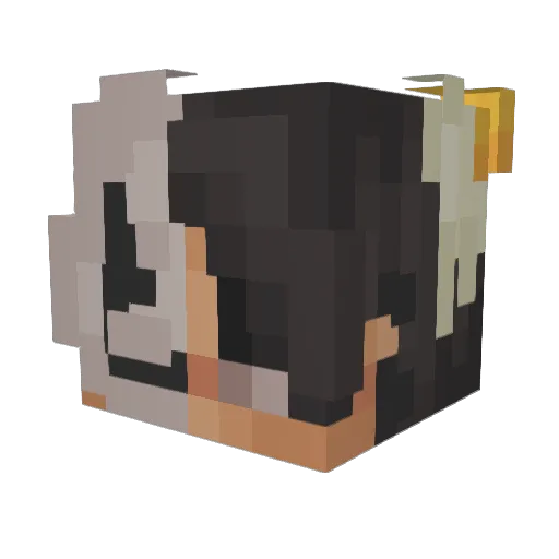 Solo_Jake Minecraft avatar head, 3D render