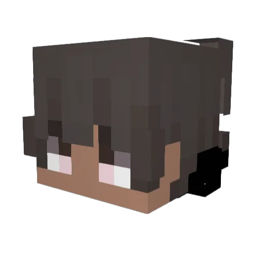 Solo_Slyzen Minecraft avatar head, 3D render