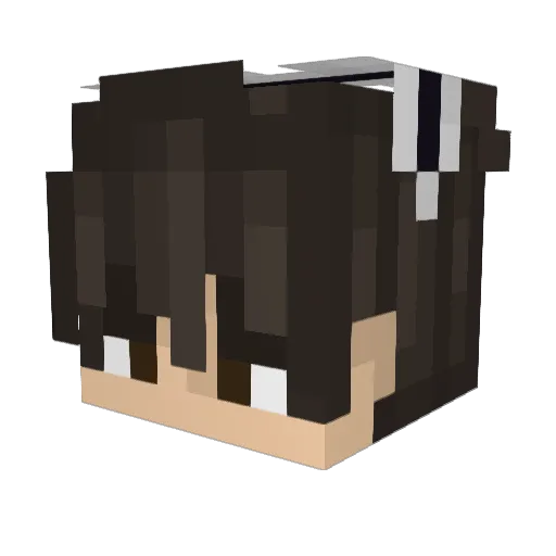 Solo_on Minecraft avatar head, 3D render