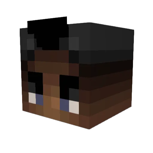 Solomander1 Minecraft avatar head, 3D render