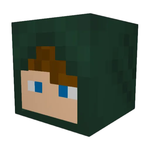 Solonoy Minecraft avatar head, 3D render