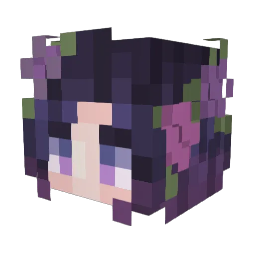 SolontheWolf Minecraft avatar head, 3D render