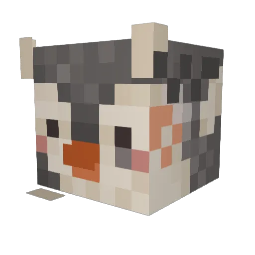 Solopop Minecraft avatar head, 3D render