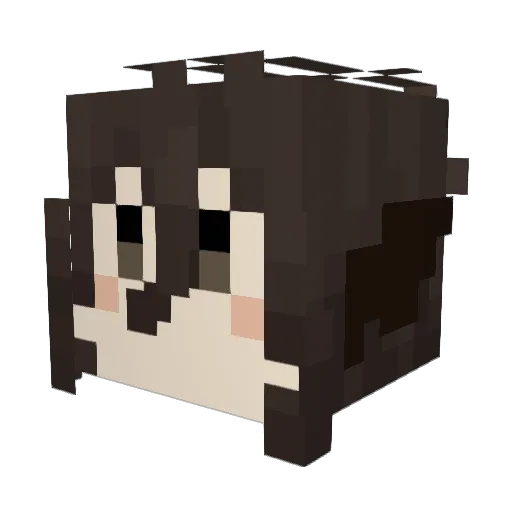 SolorSalight Minecraft avatar head, 3D render