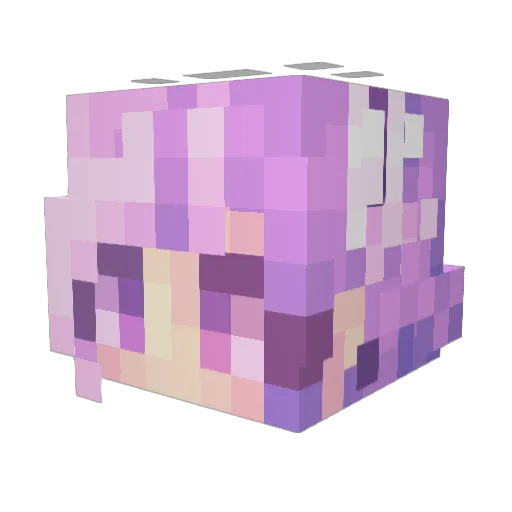 SolovsGamng_1 Minecraft avatar head, 3D render