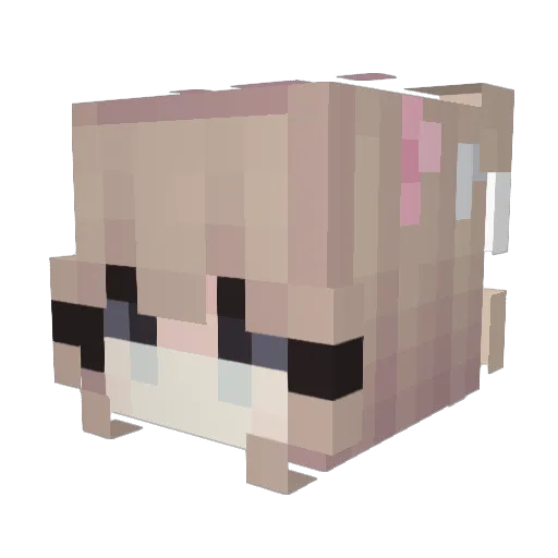 SolpadineMax8mg Minecraft avatar head, 3D render