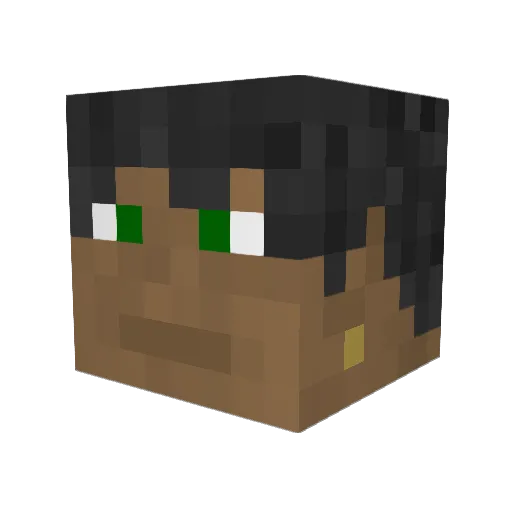 SolrFlr Minecraft avatar head, 3D render