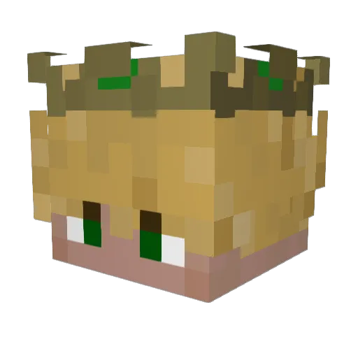 Solrik18 Minecraft avatar head, 3D render