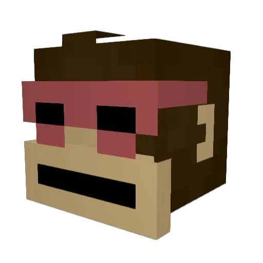Solrin19 Minecraft avatar head, 3D render