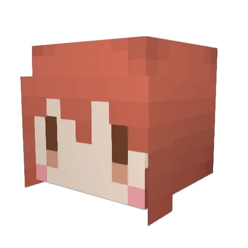 Solrock338 Minecraft avatar head, 3D render