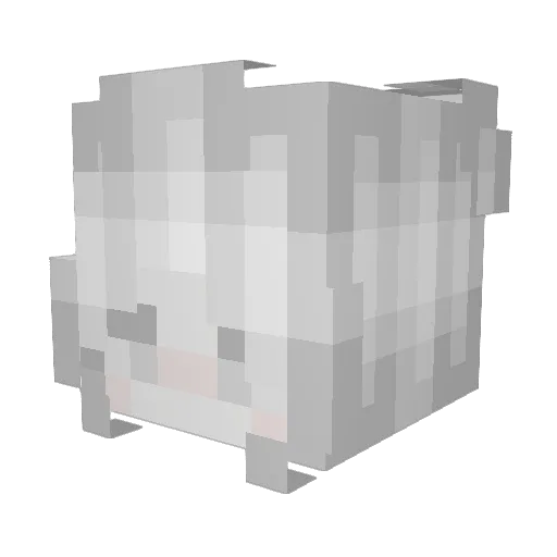 Solscarus Minecraft avatar head, 3D render