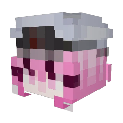 Solshii Minecraft avatar head, 3D render