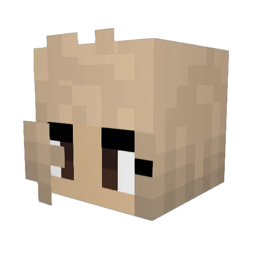 Solsken15 Minecraft avatar head, 3D render
