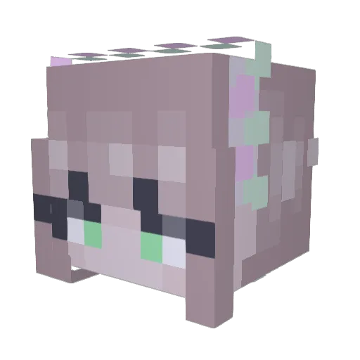 Solskinne Minecraft avatar head, 3D render