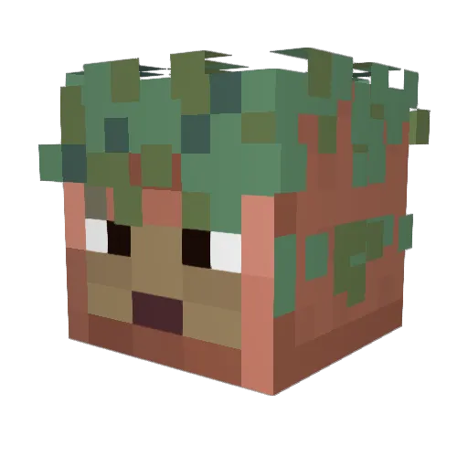 Solsticewinter_ Minecraft avatar head, 3D render