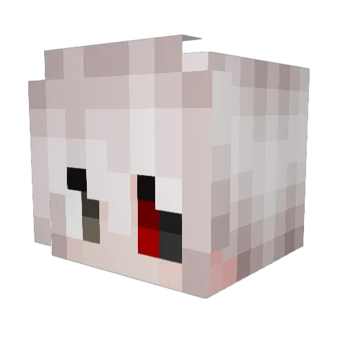 Soltx Minecraft avatar head, 3D render