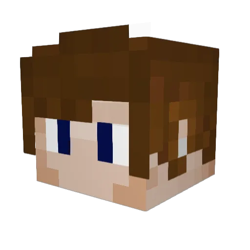 SoltySoup Minecraft avatar head, 3D render
