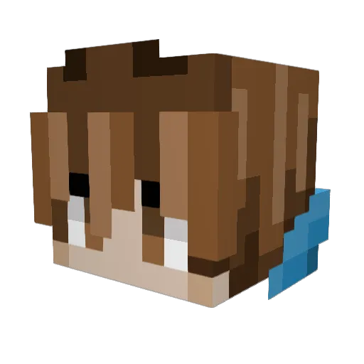 Solupsu Minecraft avatar head, 3D render