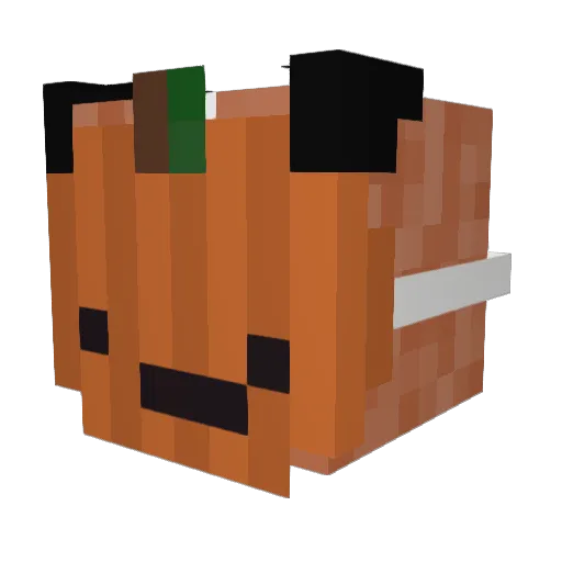 Solurem Minecraft avatar head, 3D render