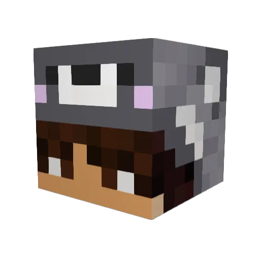 Solva489 Minecraft avatar head, 3D render