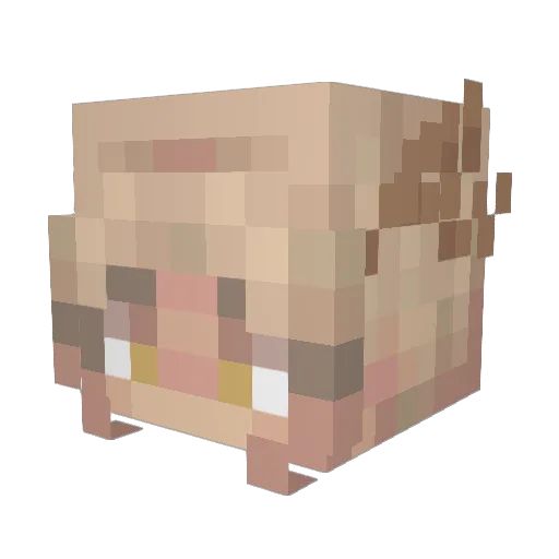 SolvableSix4 Minecraft avatar head, 3D render