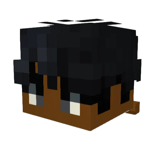 SolvedTO Minecraft avatar head, 3D render