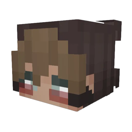 SolvryMc Minecraft avatar head, 3D render