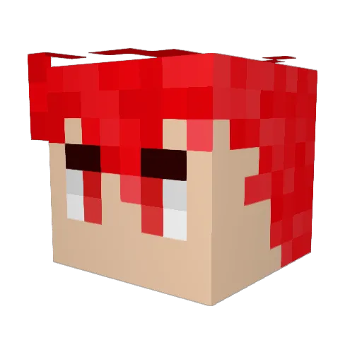 Solymbra Minecraft avatar head, 3D render