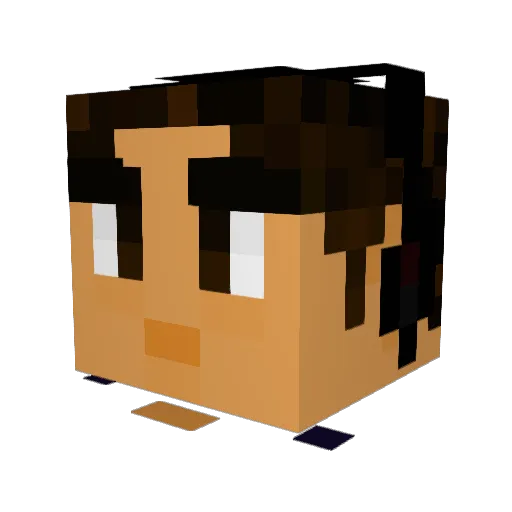 Solyn222 Minecraft avatar head, 3D render