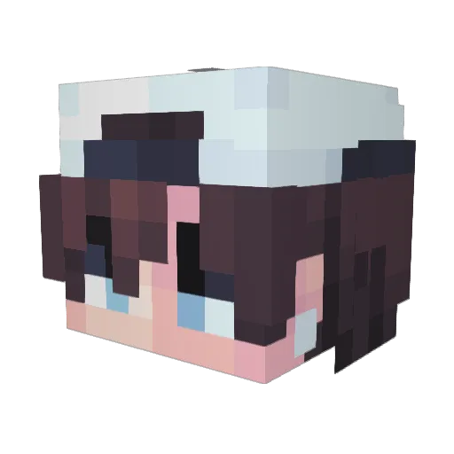 SomS1x Minecraft avatar head, 3D render