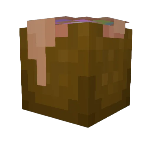 SomStew Minecraft avatar head, 3D render