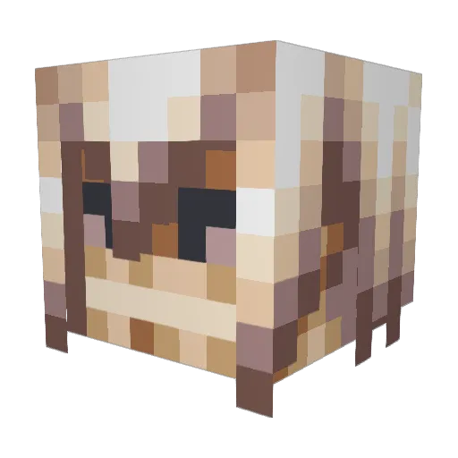 SomaCruise Minecraft avatar head, 3D render