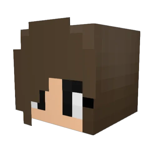 Somber__ Minecraft avatar head, 3D render