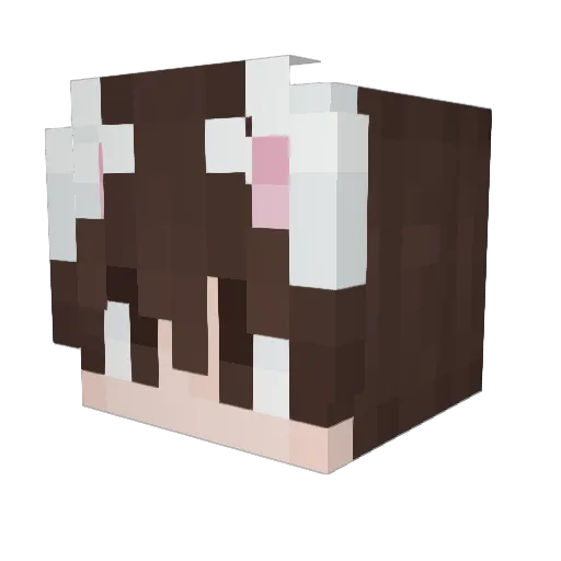 Sombra_17 Minecraft avatar head, 3D render