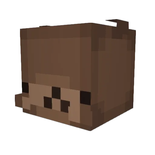 Sombrahide Minecraft avatar head, 3D render
