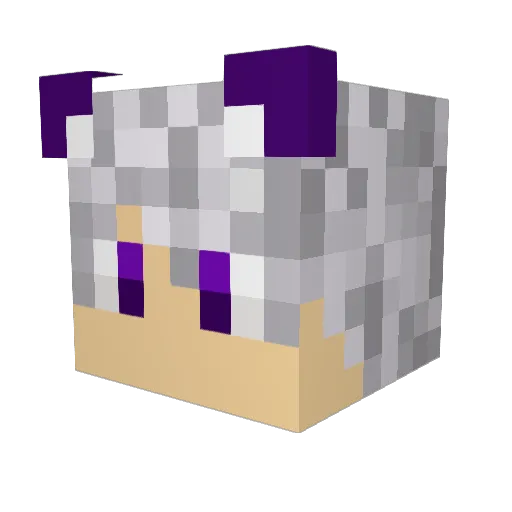 Some1ByAccident Minecraft avatar head, 3D render