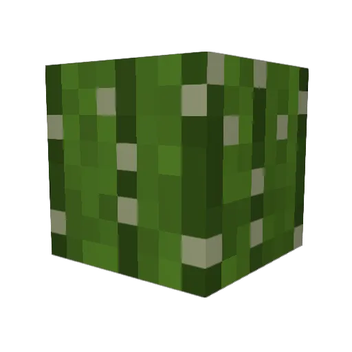 SomeCactus42 Minecraft avatar head, 3D render