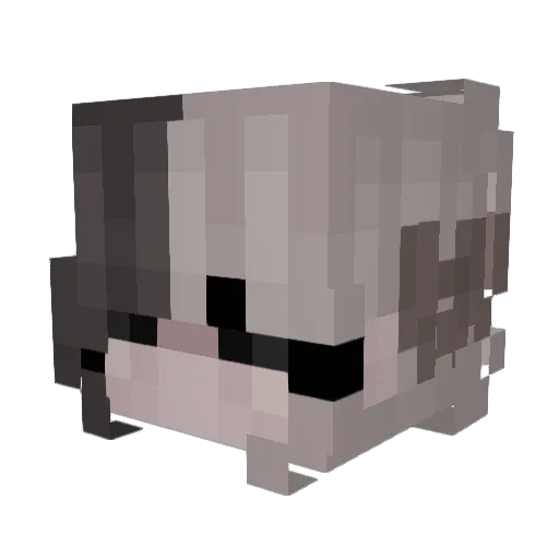 SomeDegenerate_ Minecraft avatar head, 3D render