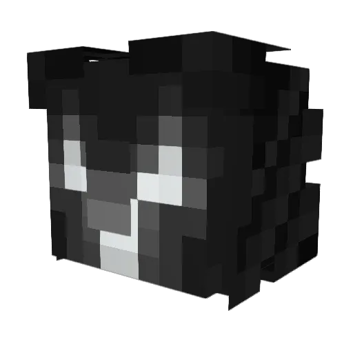 SomeDude55 Minecraft avatar head, 3D render