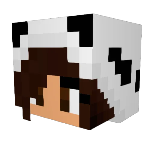 SomeFlower1 Minecraft avatar head, 3D render