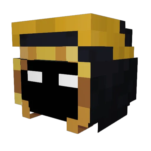 SomeGamerKid Minecraft avatar head, 3D render
