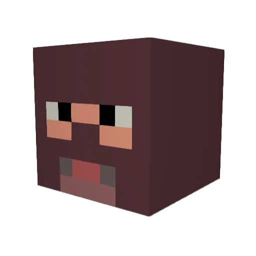SomeGuy6789 Minecraft avatar head, 3D render