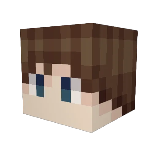 SomeGuyYouKnow Minecraft avatar head, 3D render